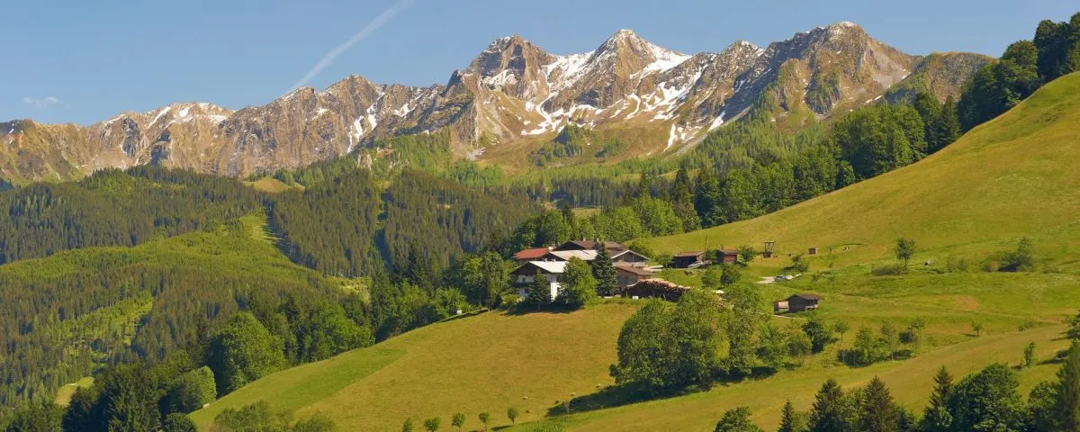 Kohlschnait