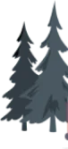 shape