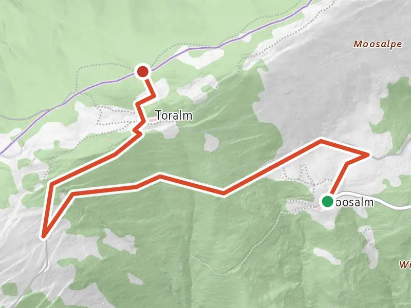 Variante Moosalm - Hundsstein drawn on a map of the valley